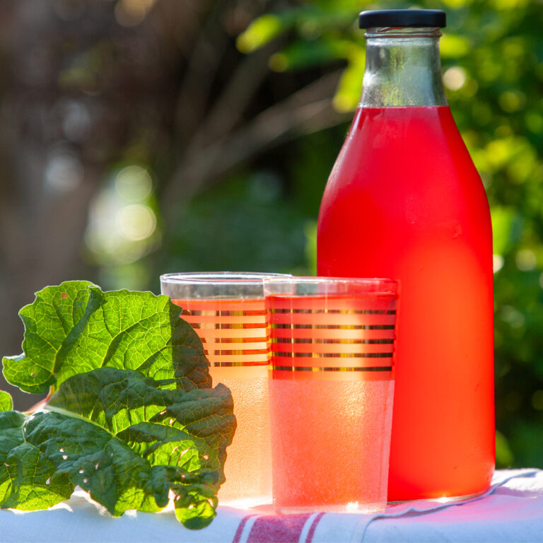 Hemgjord rabarbersaft på ekologisk rabarber från Bjärehalvön serverad i glas bredvid flaska med saft.
